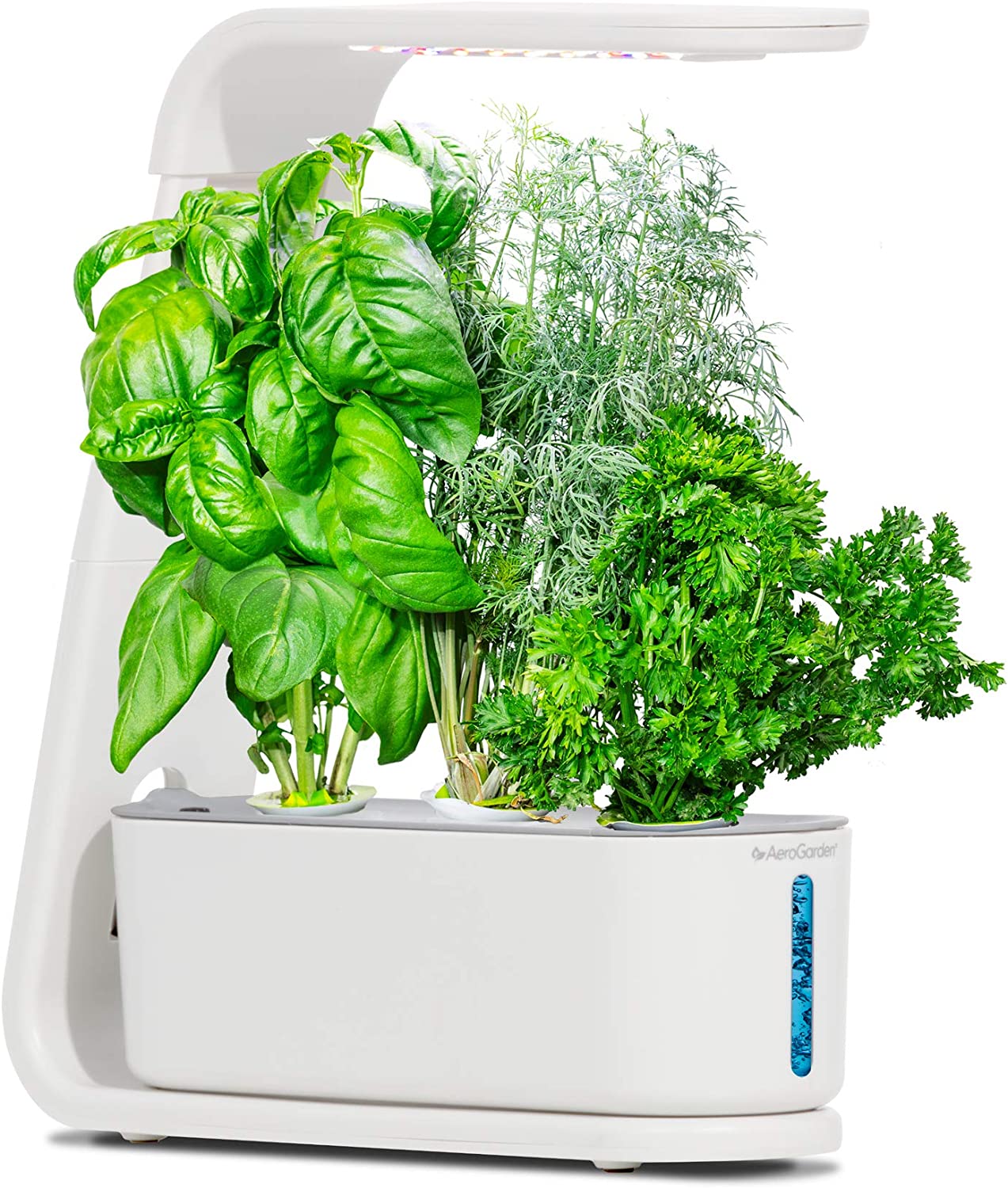 aerogarden sprout